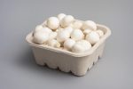 mushroom packaging - pulp tray