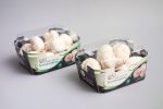 mushroom packaging - cardboard tray