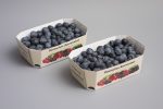 berries packaging - cardboard tray