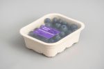 berry packaging - pulp tray