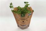 Herbs 07501 Paper Bag NNZ DE