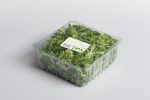 lettuce packaging- plastic tray